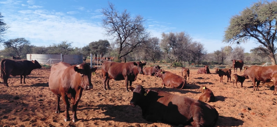 Commercial Property for Sale in Griekwastad Rural Northern Cape